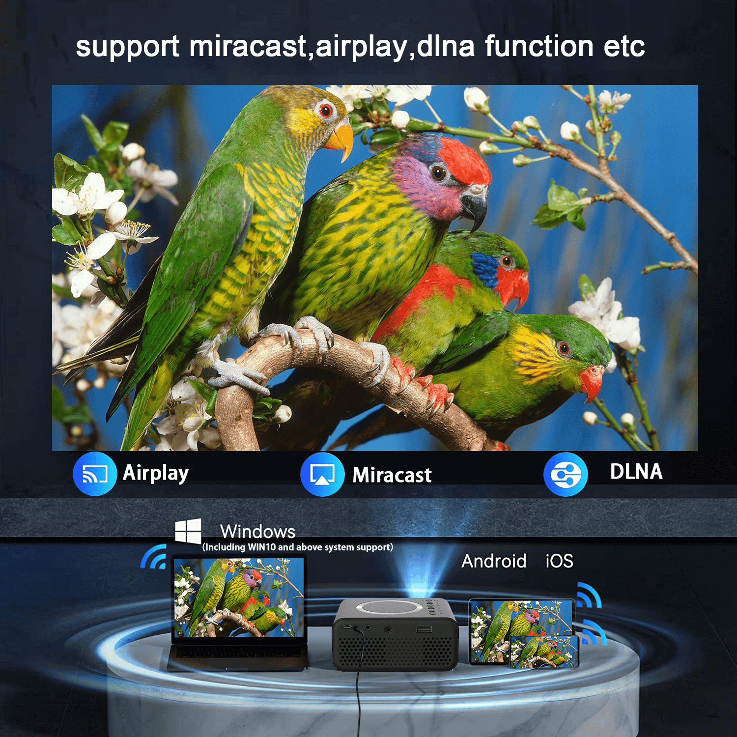 Mini LED Wireless Projector displaying vibrant bird scene with Airplay, Miracast, DLNA on Android, iOS, Windows devices.
