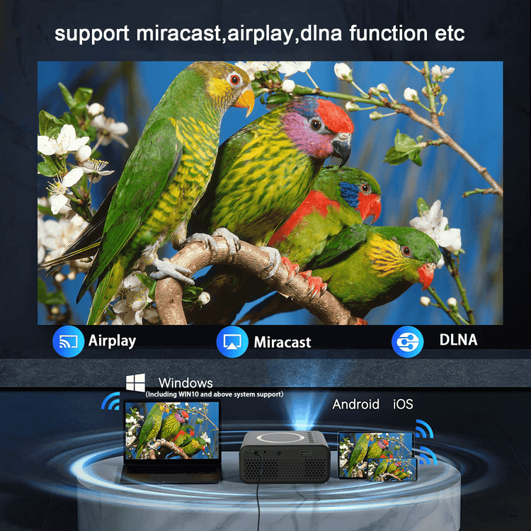 Mini LED Wireless Projector displaying vibrant bird scene with Airplay, Miracast, DLNA on Android, iOS, Windows devices.