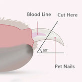 Diagram showing safe pet nail trimming with a Pet Nail Clipper with Led Light