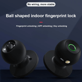 Keyless Smart Knob with App Control featuring a ball shaped design for indoor fingerprint unlocking.