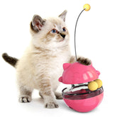 Kitten playing with Interactive Cat Treat Ball, a pink toy designed for play, hunt, snack, repeat fun.